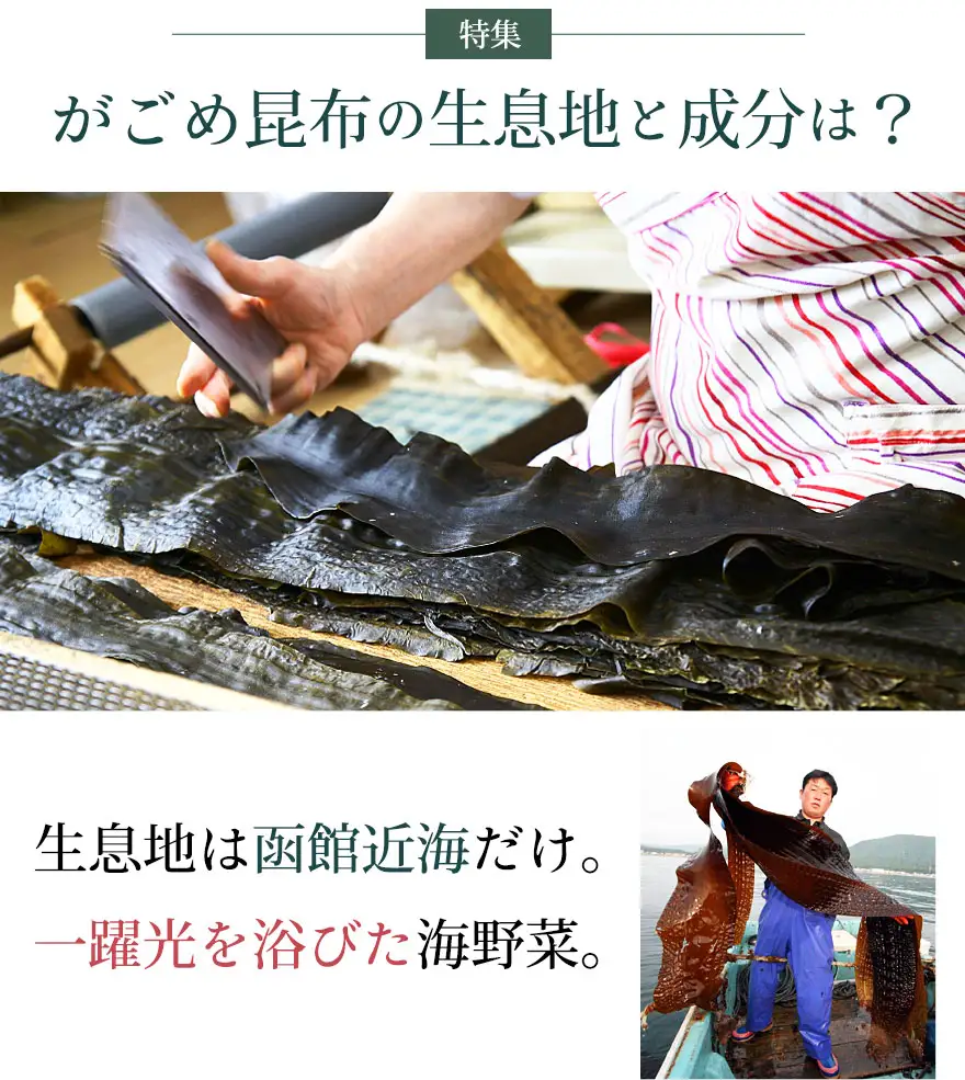 函館特産がごめ昆布について